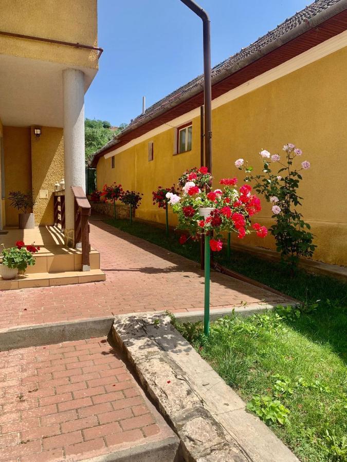 トゥルダCasa Ramonaアパートメント エクステリア 写真